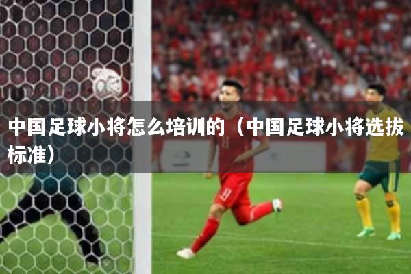 中国足球小将怎么培训的（中国足球小将选拔标准）