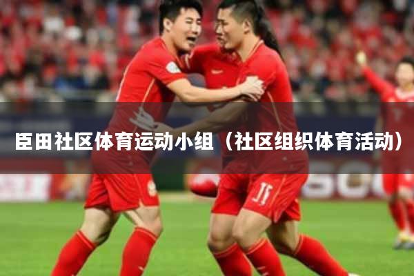 臣田社区体育运动小组（社区组织体育活动）