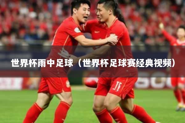 世界杯雨中足球（世界杯足球赛经典视频）