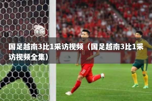 国足越南3比1采访视频（国足越南3比1采访视频全集）