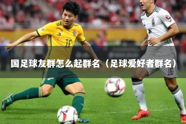 国足球友群怎么起群名（足球爱好者群名）